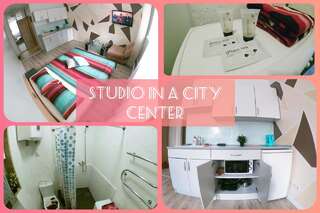 Апартаменты City Center Park Studio Каунас Номер-студио-15