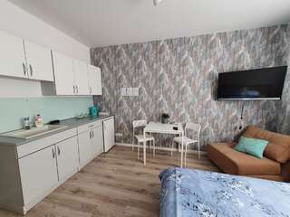 Апартаменты City Center Park Studio Каунас Номер-студио-6