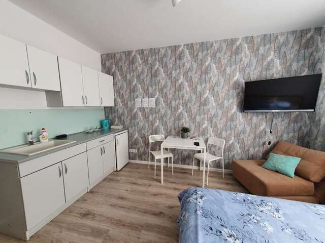 Апартаменты City Center Park Studio Каунас-20