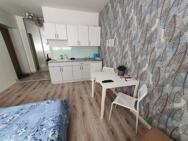 Апартаменты City Center Park Studio Каунас-21